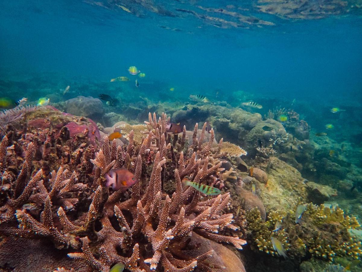 Raja Ampat Eco Lodge Tapokreng Esterno foto
