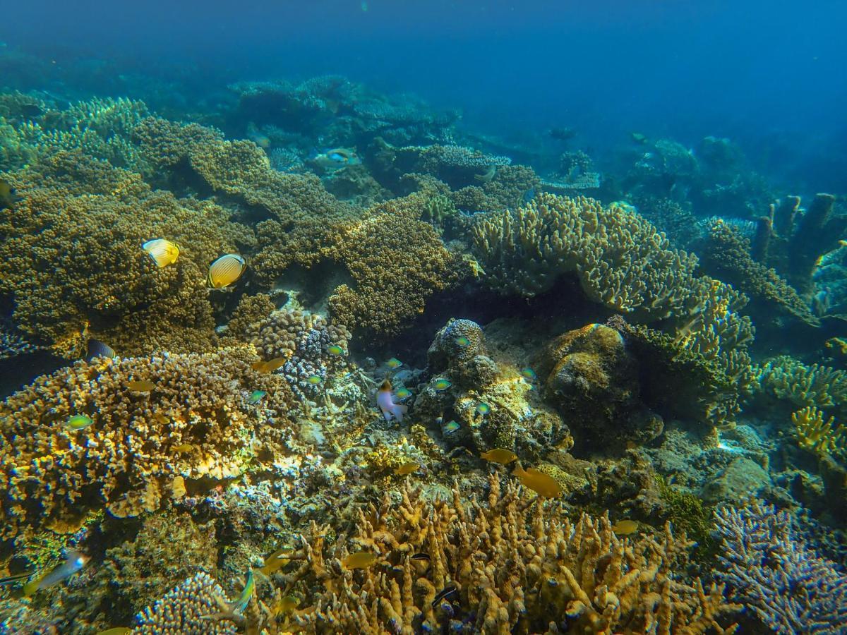 Raja Ampat Eco Lodge Tapokreng Esterno foto